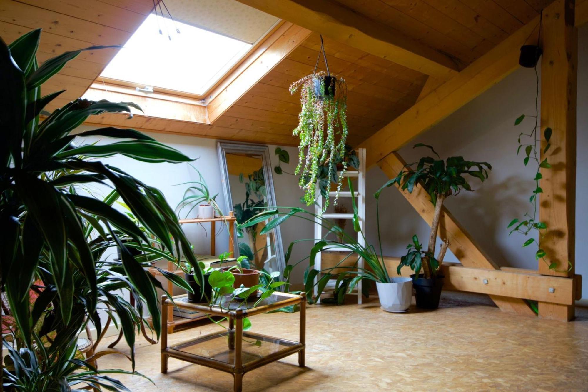 Chaudefontaine  Loft Haut De Gamme Entre Verdure Et Ville מראה חיצוני תמונה